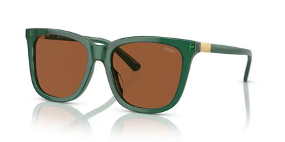 Polo Ralph Lauren PH4201U - Rooyati